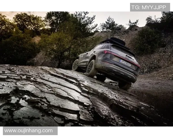 一汽奥迪拉力车队龙游拉力赛大捷 包办三冠书写传奇